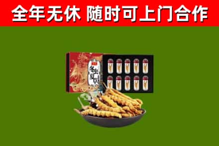 遂溪烟酒回收冬虫夏草礼盒.jpg